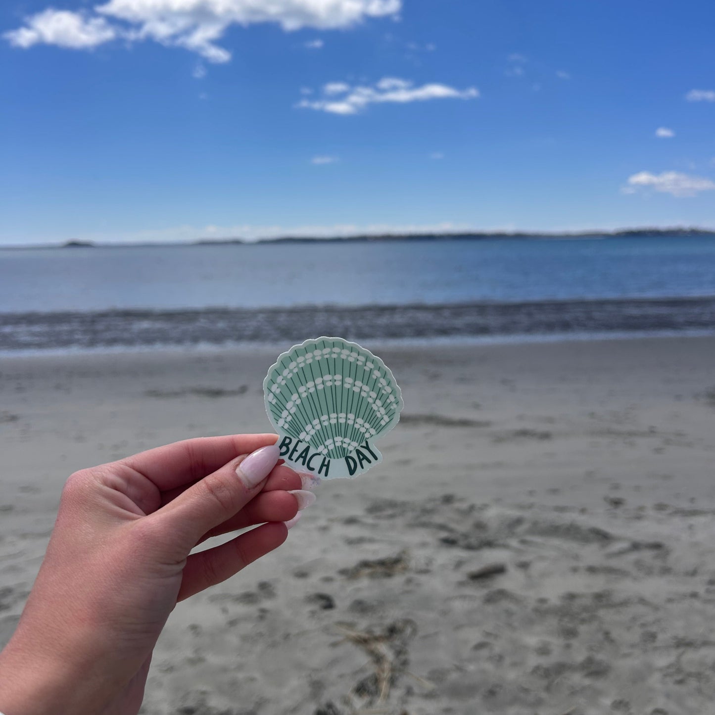 Beach Day Shell Sticker