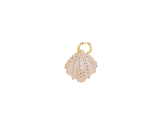 Gold Rose Gold Clamshell Seashell