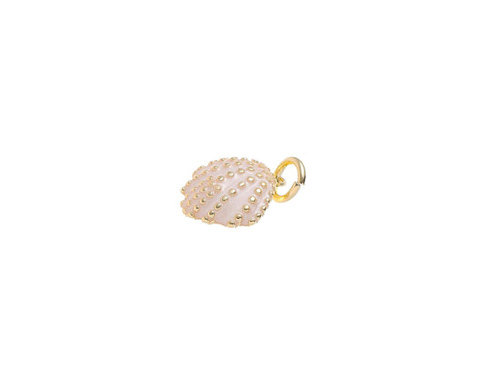 Gold Rose Gold Clamshell Seashell